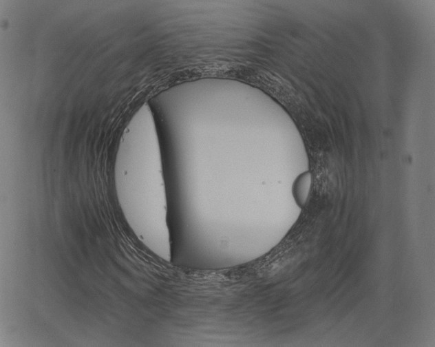 X0000063460866200601200928