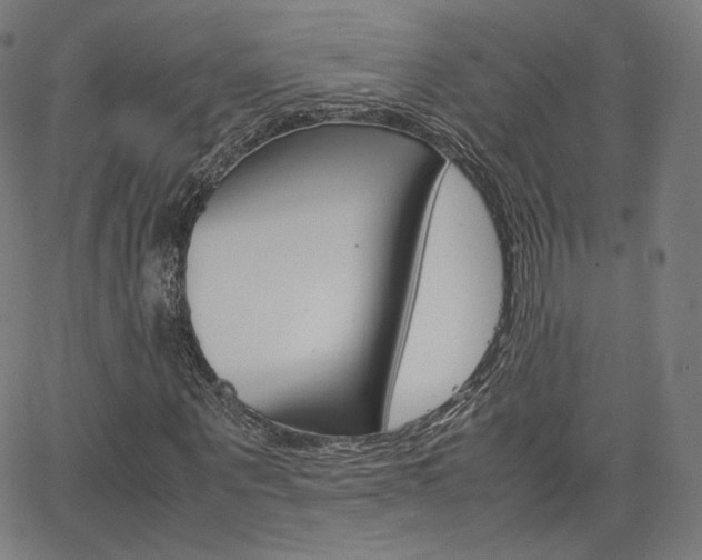 X0000063460867200601200928