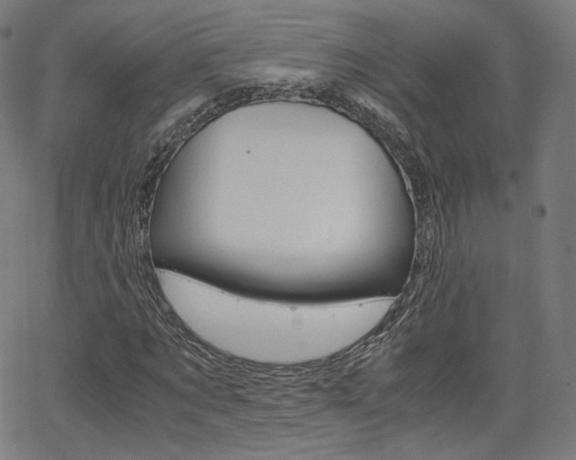 X0000063460869200601200927