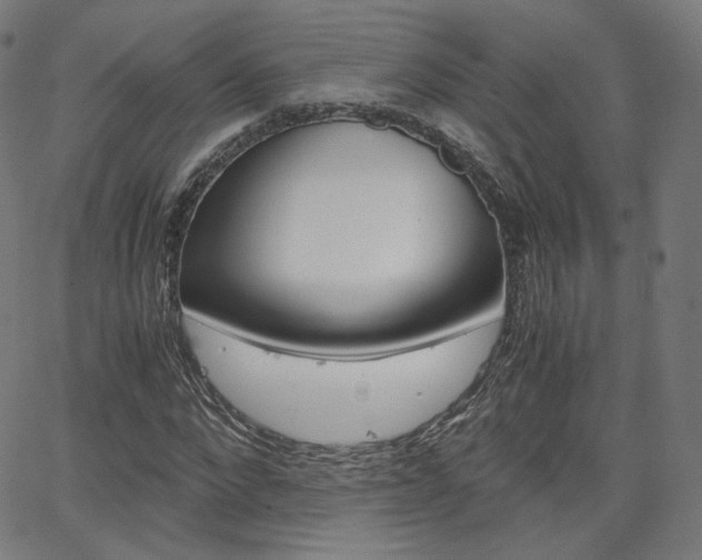 X0000063460872200601200927