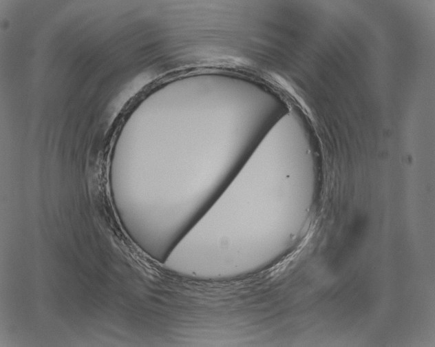 X0000063460875200601200927