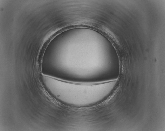 X0000063460876200601200927