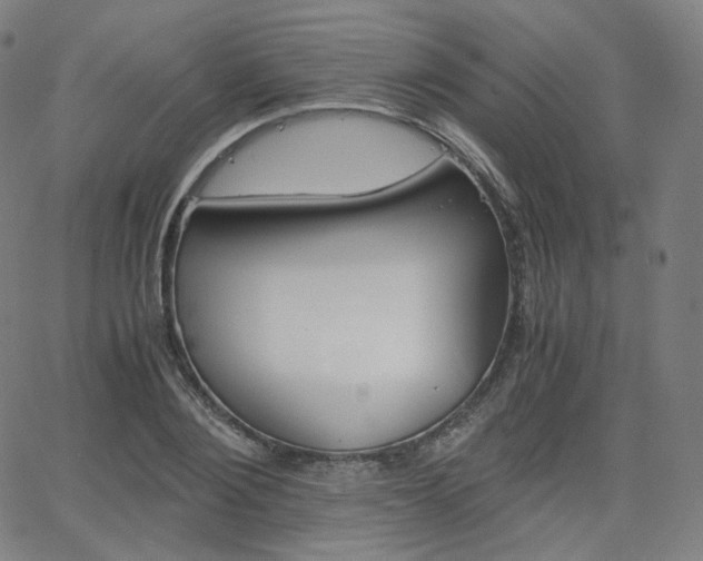 X0000063460884200601200927