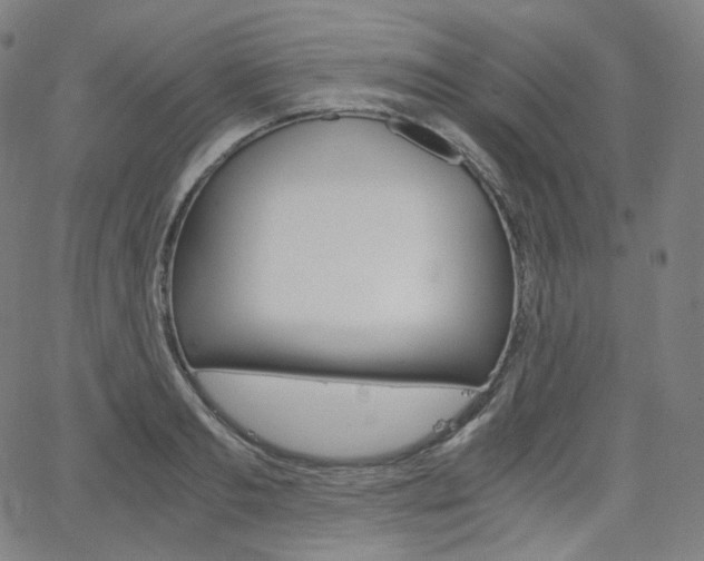 X0000063460893200601200927