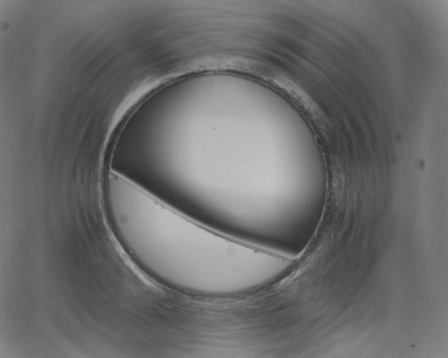 X0000063460894200601200927