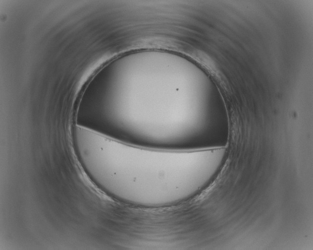 X0000063460896200601200927