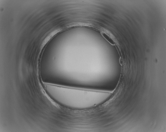 X0000063460898200601200927
