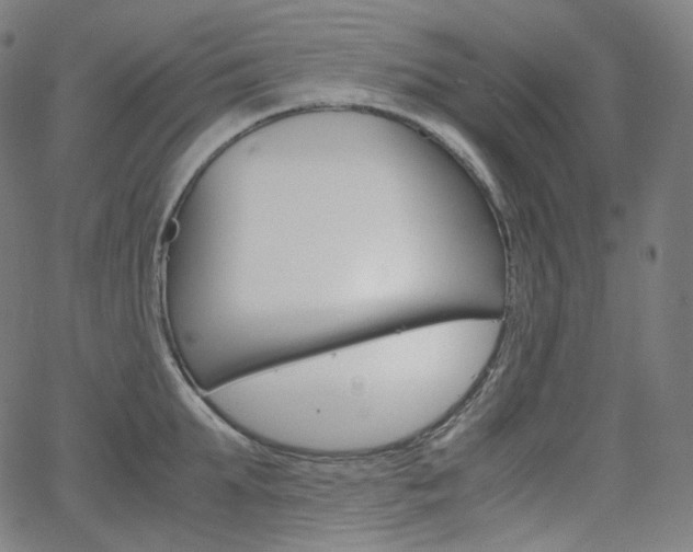 X0000063460903200601200927