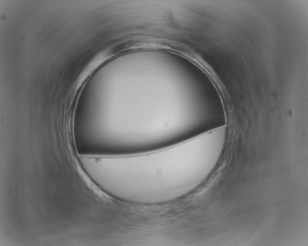 X0000063460909200601200927