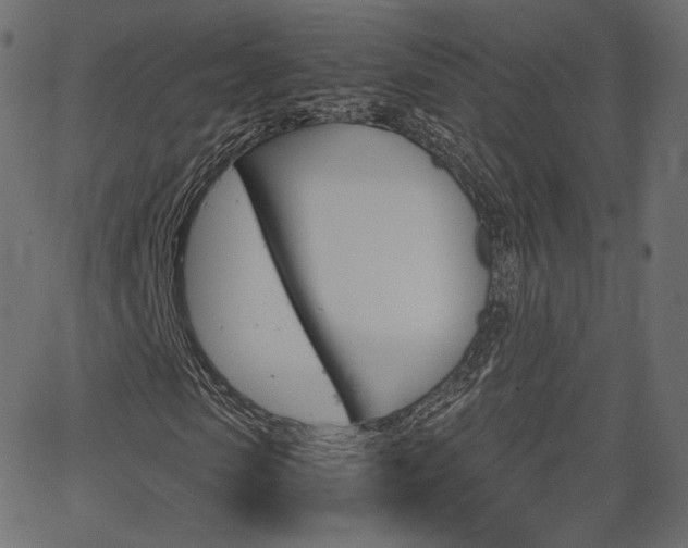 X0000063460913200601200926
