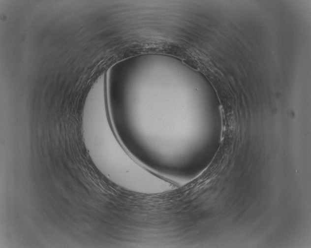 X0000063460916200601200926