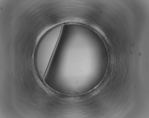 X0000063460936200601200926