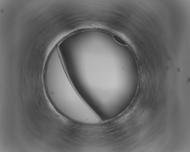 X0000063460943200601200926