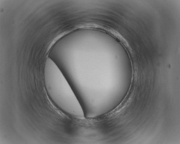 X0000063460945200601200927