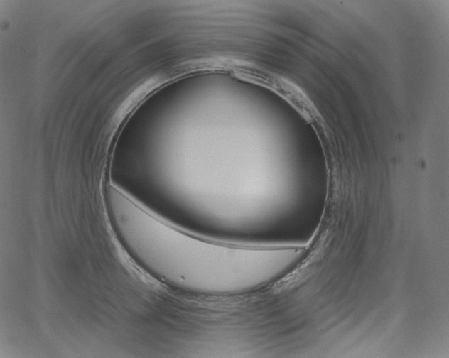 X0000063460946200601200927