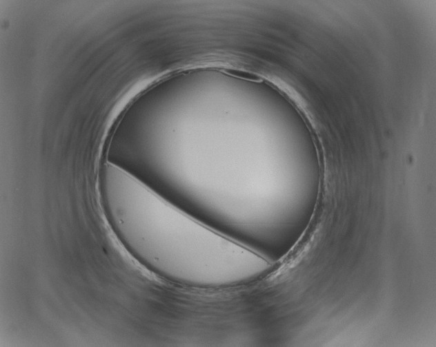 X0000063460949200601200927