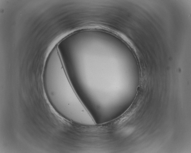 X0000063460951200601200927