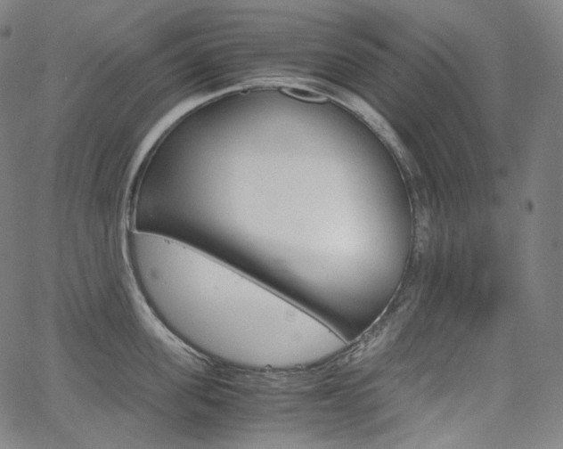 X0000063460955200601200927