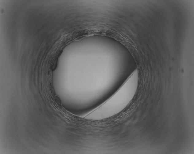 X0000063460961200601200926