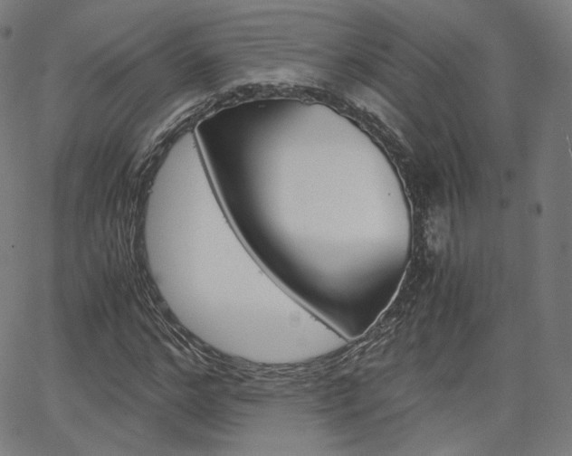 X0000063460968200601200926