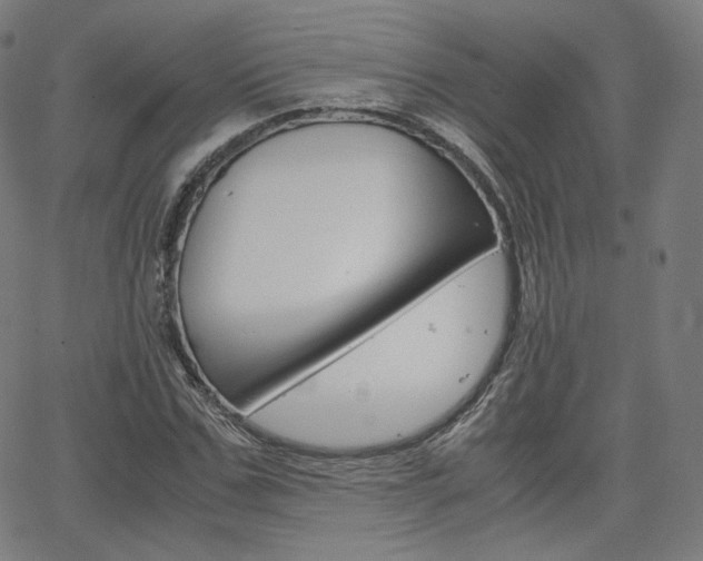 X0000063460971200601200926