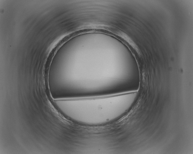 X0000063460972200601200926