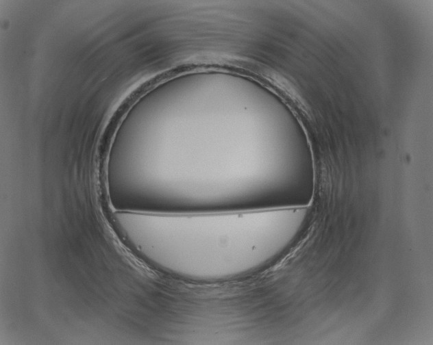 X0000063460976200601200926