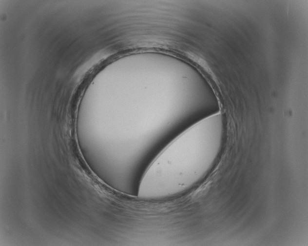 X0000063460979200601200926