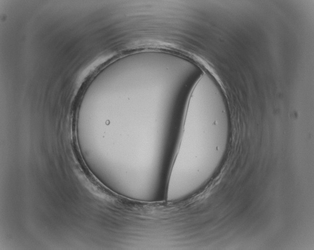 X0000063460987200601200926