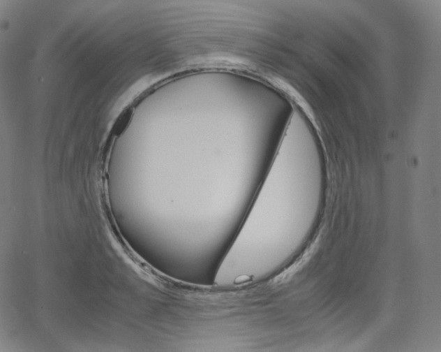 X0000063460989200601200926