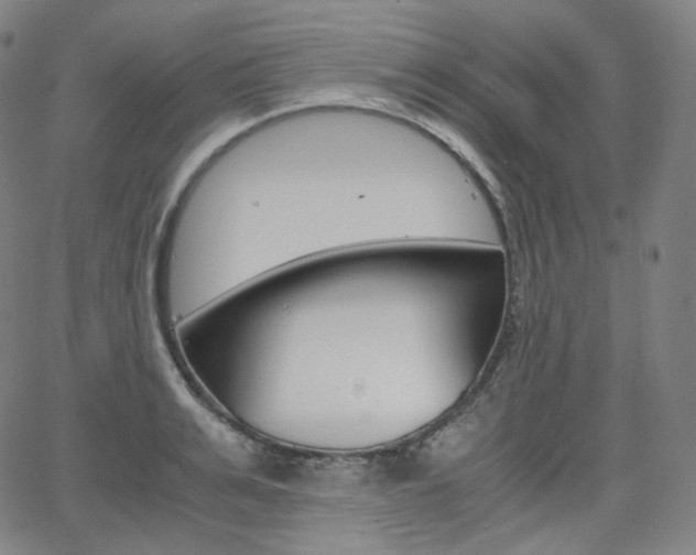 X0000063460991200601200925