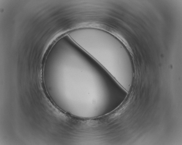 X0000063460992200601200925