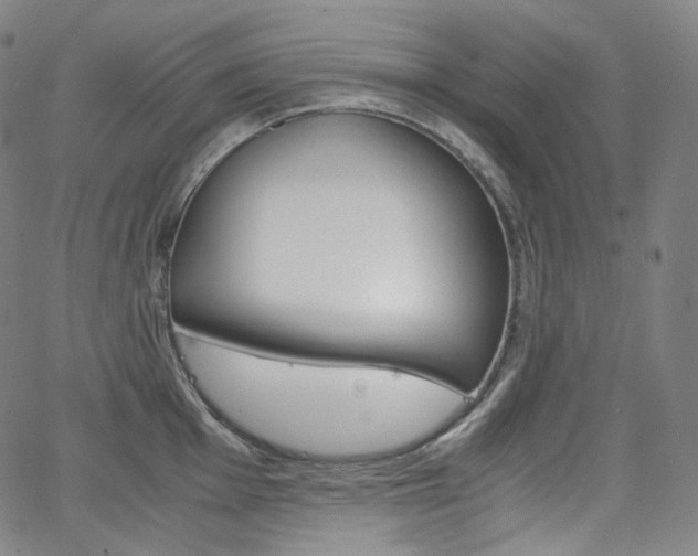 X0000063461001200601200925