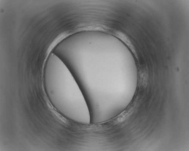 X0000063461002200601200925