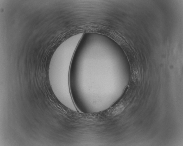 X0000063461010200601200924