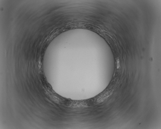 X0000063461011200601200924