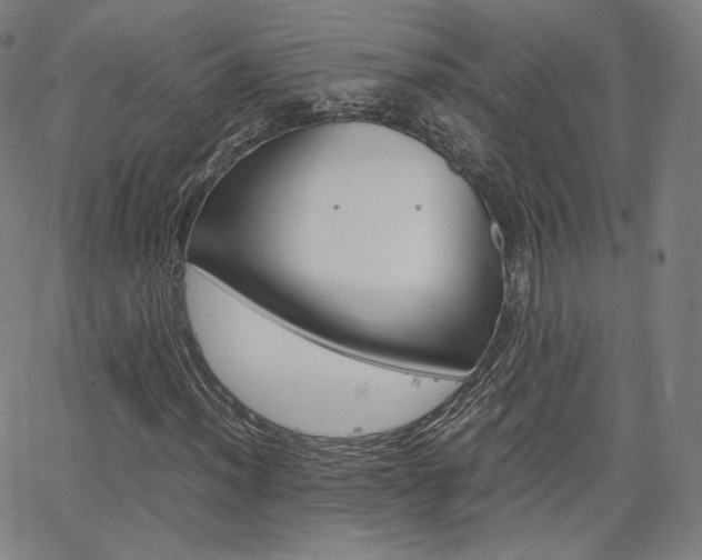 X0000063461012200601200924