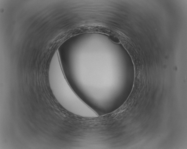 X0000063461014200601200925