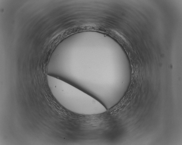X0000063461015200601200925