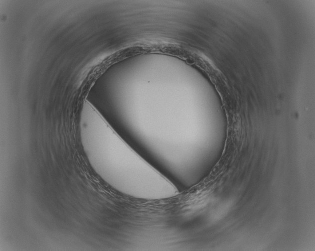 X0000063461016200601200925