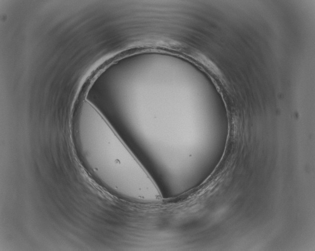X0000063461020200601200925