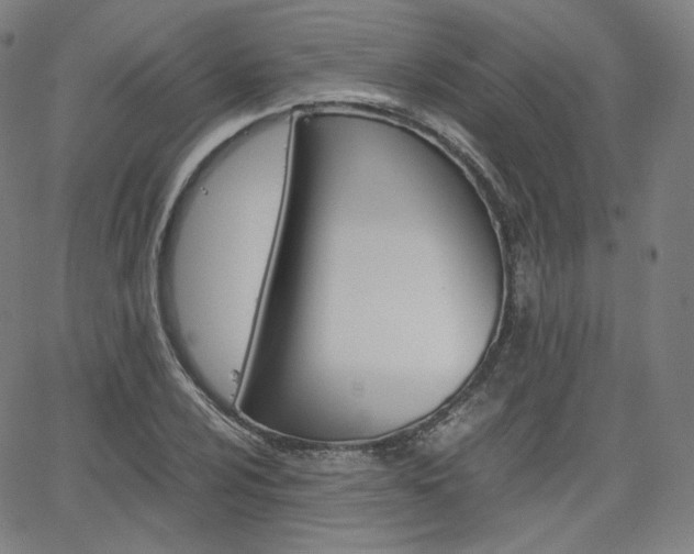 X0000063461024200601200925