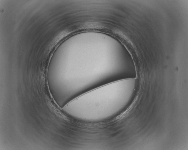 X0000063461025200601200925