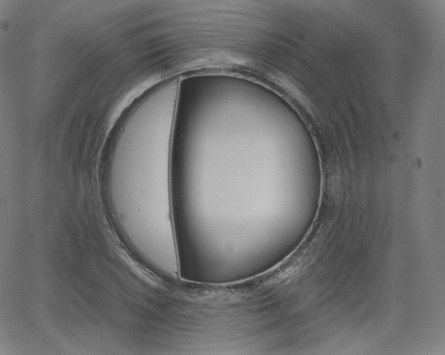 X0000063461026200601200925
