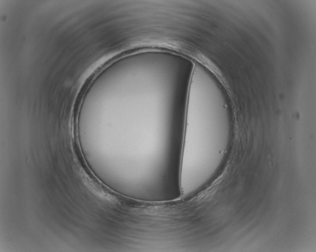 X0000063461028200601200925
