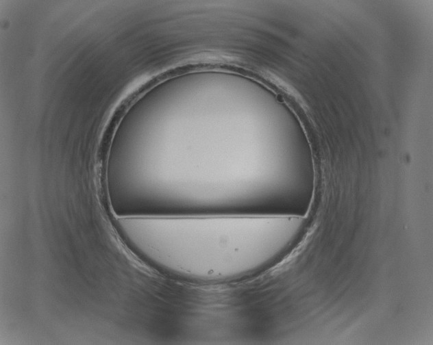 X0000063461029200601200925
