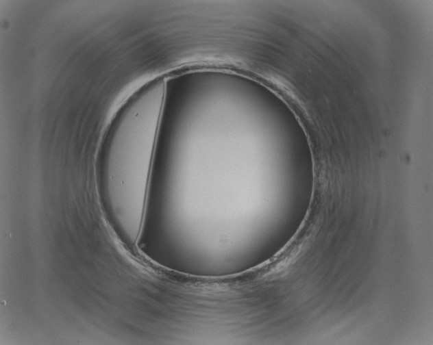 X0000063461030200601200925