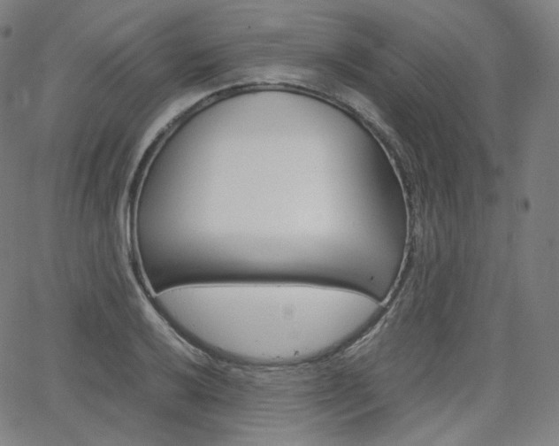 X0000063461032200601200925
