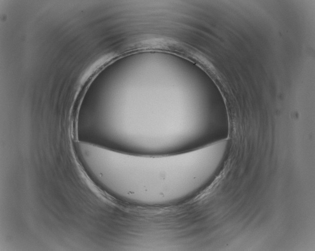 X0000063461034200601200925
