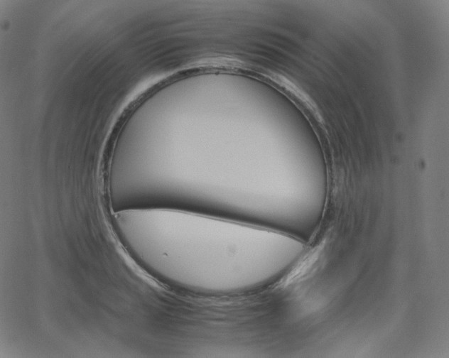 X0000063461037200601200925